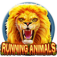 running-animals